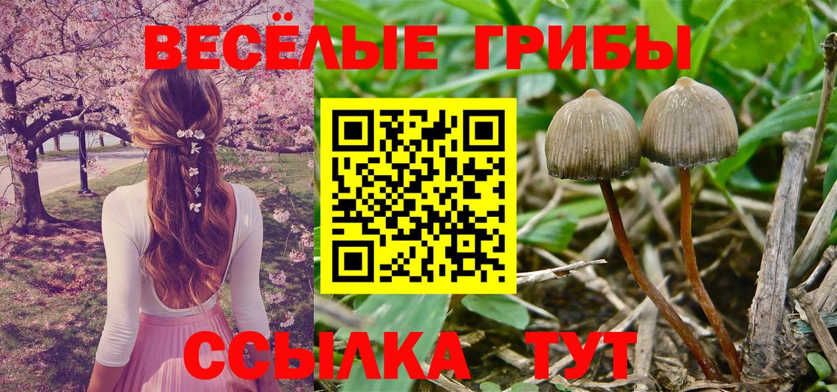 Галлюциногенные грибы мухоморы Салехард